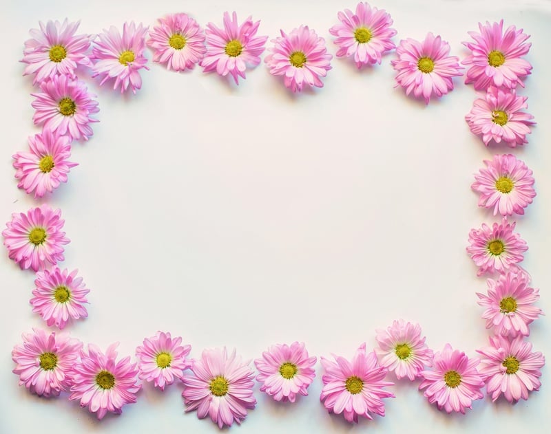 Floral Outlines